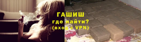 сатива Аркадак
