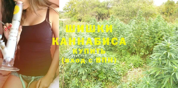 сатива Аркадак