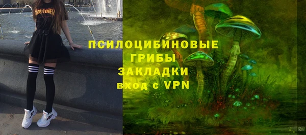 сатива Аркадак