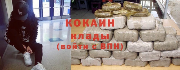 сатива Аркадак