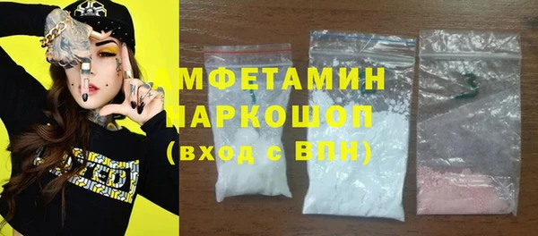 сатива Аркадак
